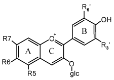 General Anthocyanin Structure